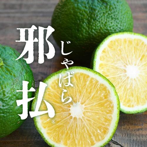 じゃばらサプリ 60粒 2袋セット 2カ月分 北山村産じゃばら使用 邪払 ジャバラ | エクセレントメディカル | 03