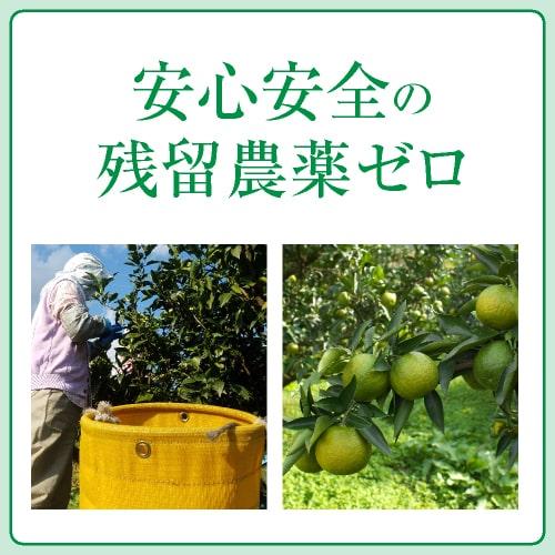 じゃばらサプリ 60粒 3袋セット 3カ月分 北山村産じゃばら使用 邪払 ジャバラ | エクセレントメディカル | 16