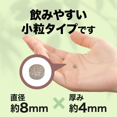 サラシア サプリ 約2ケ月分 サプリメント イヌリン サイリウム 難消化性デキストリン 配合 サラシアエクセレント 31粒 2袋 機能性表示食品 |  | 13