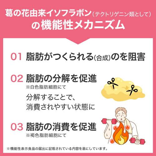 葛の花 サプリメント 葛の花由来 イソフラボン 肥満気味 の方の おなかの 内臓脂肪 皮下脂肪 減少 ウエストリッチ 葛の花 2袋 機能性表示食品 サラシア | エクセレントメディカル | 11