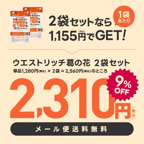 葛の花 サプリメント 葛の花由来 イソフラボン 肥満気味 の方の おなかの 内臓脂肪 皮下脂肪 減少 ウエストリッチ 葛の花 2袋 機能性表示食品 サラシア | エクセレントメディカル | 01