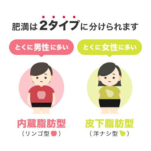 葛の花 サプリメント 肥満気味な方 おなかの 内臓脂肪 皮下脂肪 ウエスト周囲径 減らす ウエストリッチ 葛の花 30日分 3袋 機能性表示食品 | エクセレントメディカル | 06