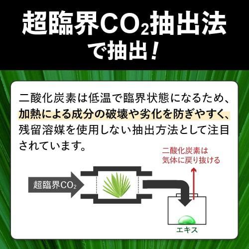 ノコギリヤシサプリ ノコギリヤシ 高配合 15,000mg ケラチン 7,200mg 亜鉛 90mg スパグロウ spa grow 60粒 1か月分 健康補助食品 | エクセレントメディカル | 07