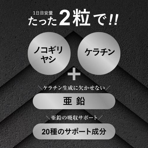 ノコギリヤシサプリ ノコギリヤシ 高配合 15,000mg ケラチン 7,200mg 亜鉛 90mg スパグロウ spa grow 60粒 2袋セット 2か月分 健康補助食品 | エクセレントメディカル | 13