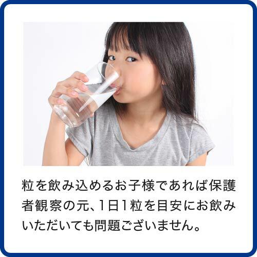 医師監修 ホスファチジルセリン 高配合 １袋6,000mg イチョウ葉 2,739mg PS ZONE サプリ サプリメント 60粒 30日分 大人 子供 | エクセレントメディカル | 14