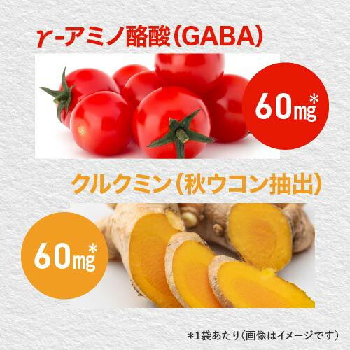 ３袋 医師監修 ホスファチジルセリン 高配合 １袋6,000mg イチョウ葉 2,739mg PS ZONE サプリ サプリメント 60粒 30日分 大人 子供 | エクセレントメディカル | 10