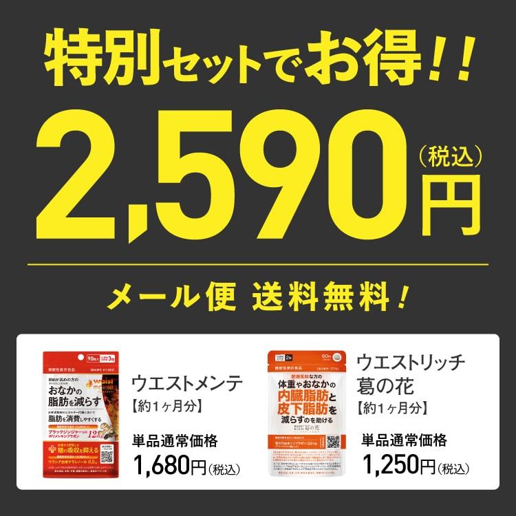ブラックジンジャー サラシア 葛の花 由来 イソフラボン サプリ ウエストメンテ + ウエストリッチ葛の花 サプリメント 機能性表示食品 国産 橋本医師 推薦 | エクセレントメディカル | 01