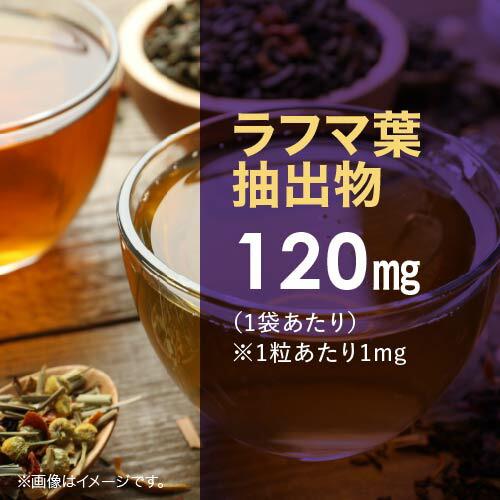 トリプトファン サプリ Trp ZONE 120粒 30〜60日分 2袋セット 医師監修 | エクセレントメディカル | 06