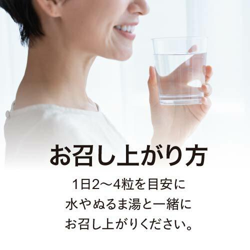 トリプトファン サプリ Trp ZONE 120粒 30〜60日分 3袋セット 医師監修 | エクセレントメディカル | 09