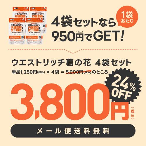 葛の花 サプリメント 肥満気味な方 おなかの 内臓脂肪 皮下脂肪 ウエスト周囲径 減らす ウエストリッチ 葛の花 30日分 4袋 機能性表示食品 | エクセレントメディカル | 01