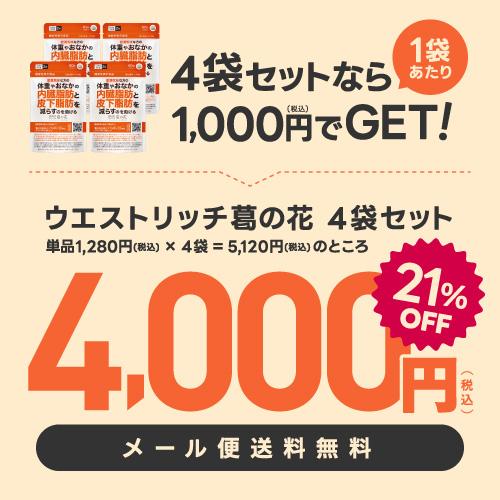 葛の花 サプリメント 肥満気味な方 おなかの 内臓脂肪 皮下脂肪 ウエスト周囲径 減らす ウエストリッチ 葛の花 30日分 4袋 機能性表示食品 | エクセレントメディカル | 01