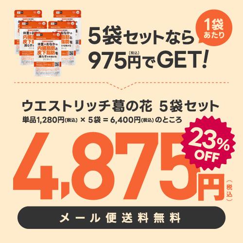 葛の花 サプリメント 肥満気味な方 おなかの 内臓脂肪 皮下脂肪 ウエスト周囲径 減らす ウエストリッチ 葛の花 30日分 5袋 機能性表示食品 | エクセレントメディカル | 01