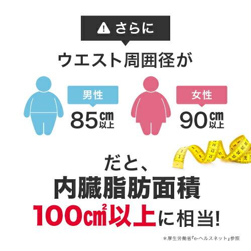 葛の花 サプリメント 肥満気味な方 おなかの 内臓脂肪 皮下脂肪 ウエスト周囲径 減らす ウエストリッチ 葛の花 30日分 5袋 機能性表示食品 | エクセレントメディカル | 07