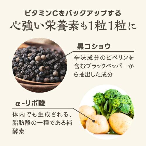 リポソーム ビタミンC サプリ 日本製 高濃度 ピュアビタミンC スムースVC 60粒 3袋 栄養機能食品 医師監修 | エクセレントメディカル | 12