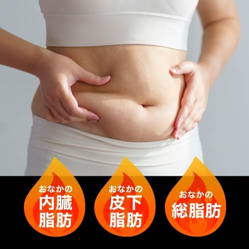 ターミナリアベリリカ ブラックジンジャー サプリメント ターミナリアガード 90粒 2袋 機能性表示食品 | エクセレントメディカル | 10