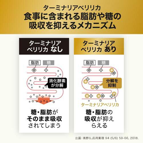 ターミナリアベリリカ ブラックジンジャー サプリメント ターミナリアガード 90粒 2袋 機能性表示食品 | エクセレントメディカル | 06