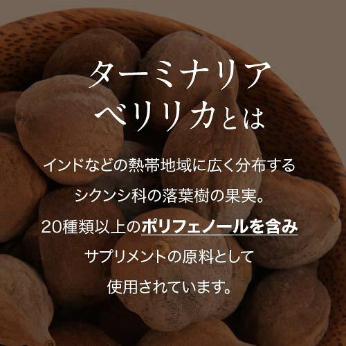 ターミナリアベリリカ ブラックジンジャー サプリメント ターミナリアガード 90粒 3袋 機能性表示食品 | エクセレントメディカル | 05