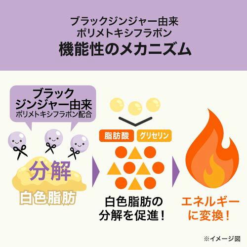 ターミナリアベリリカ ブラックジンジャー サプリメント ターミナリアガード 90粒 3袋 機能性表示食品 | エクセレントメディカル | 09