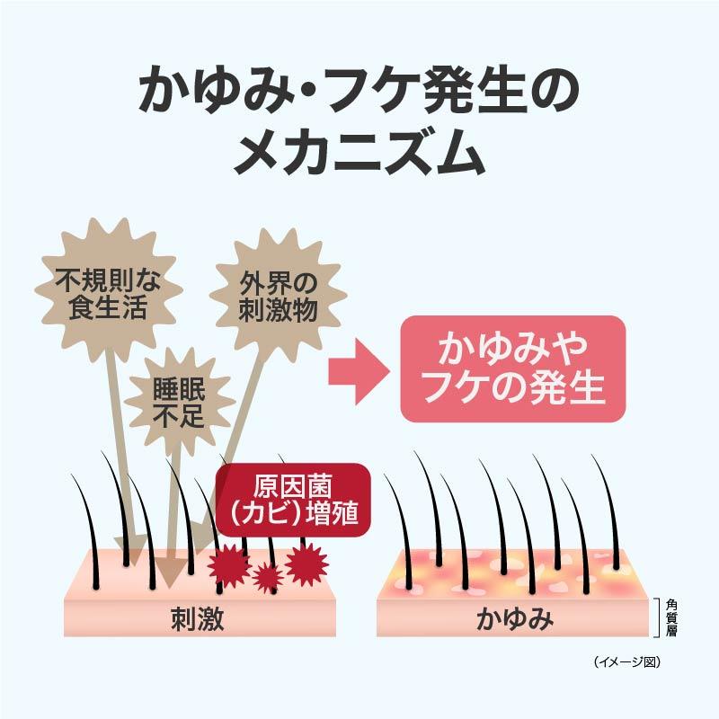 コラージュフルフルネクストシャンプー すっきりさらさらタイプ 200mL 薬用 低刺激性 フケ かゆみ 医薬部外品 持田ヘルスケア | コラージュフルフル | 04