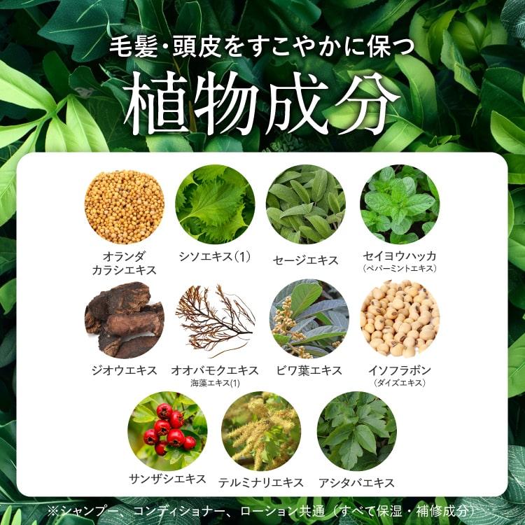 ハーグ HARG 薬用HGドクターズヘアケアシリーズ HG MD コンディショナー 340mL |  | 06