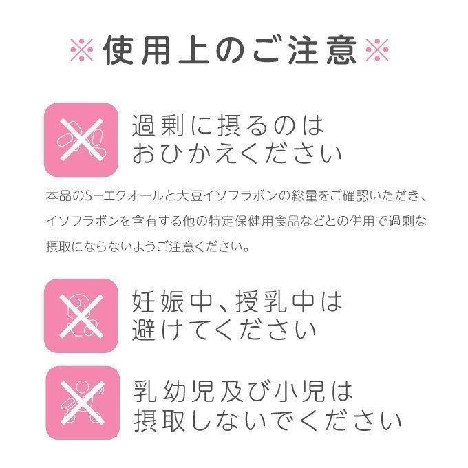 エクエル パウチ 120粒×3袋 エクオール 大塚製薬 yff｜cabe-bata｜09