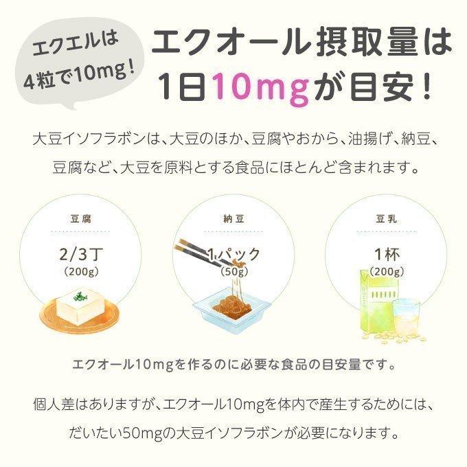 エクエル パウチ 120粒×3袋 エクオール 大塚製薬 : エクセレント