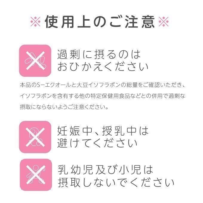 エクエル パウチ 120粒×3袋 大塚製薬 エクオール｜cabe-bata｜12