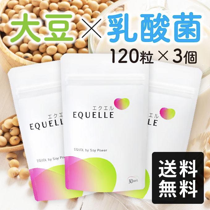 エクエル パウチ 120粒×3袋 大塚製薬 エクオール : エクセレント エクエル パウチ 120粒×3袋 大塚製薬 エクオール : エクセレント