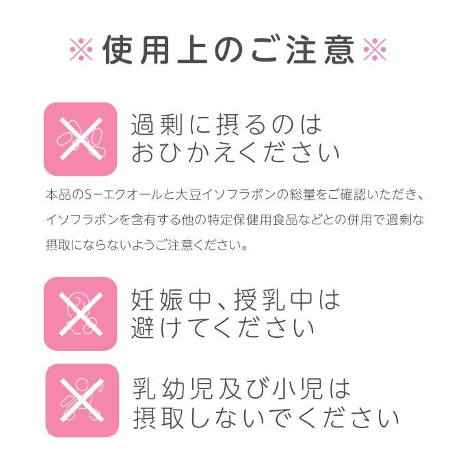 大塚製薬 エクエル 112粒×3個 ボトルタイプ エクオール | エクエル | 06