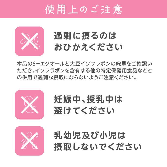 エクエル パウチ 120粒 2袋 大塚製薬 | エクエル | 10