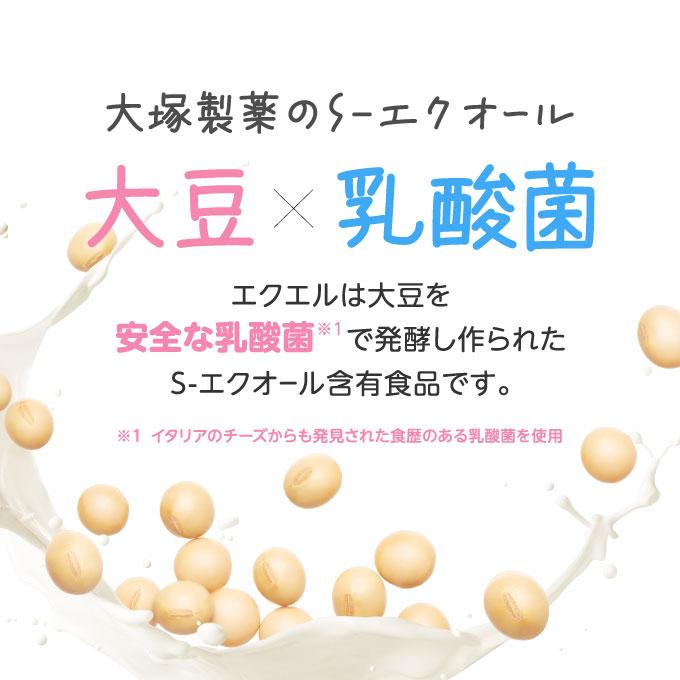 エクエル パウチ 120粒 2袋 大塚製薬 | エクエル | 06