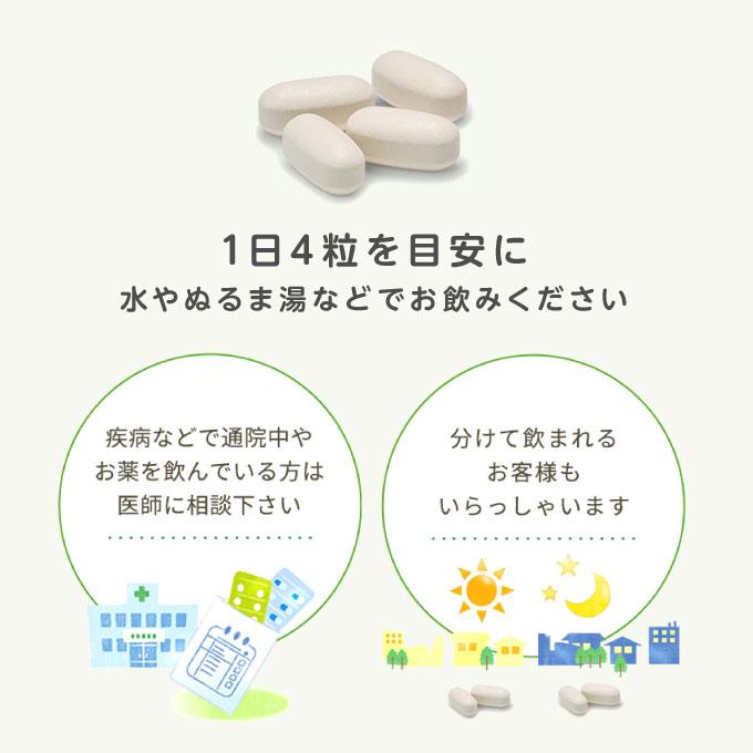 エクエル パウチ 120粒 2袋 大塚製薬 | エクエル | 09