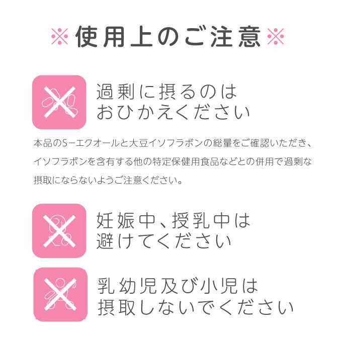大塚製薬 エクエル 112粒 2個 ボトルタイプ エクオール | エクエル | 07