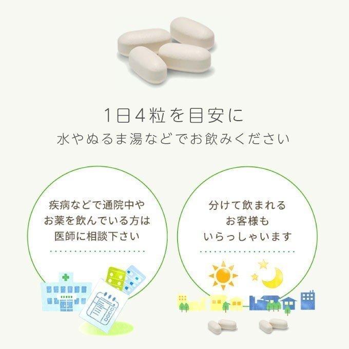 エクエル パウチ 120粒×4袋 大塚製薬 エクオール yff｜cabe-bata｜08