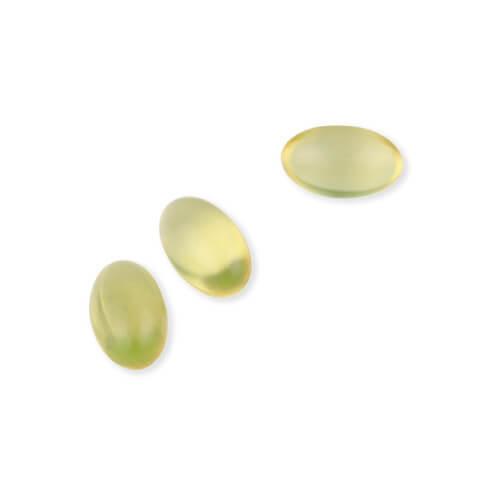 ワカサプリ 植物性オメガ-3 120粒 | ワカサプリ | 01