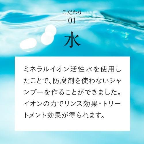 イオニート エッセンス Vシャンプー モイスト 500mL｜cabe-bata｜07