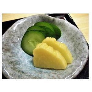 いきいきペール 5型 (4.3L) 2個セット (いろいろ使える不思議な