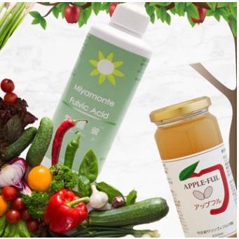 u70305015 気麗留(キレイト) ミヤモンテ社 100ml×3個セット ミヤモンテ キレイト キレート 気麗留 100ml 3個セット (3本