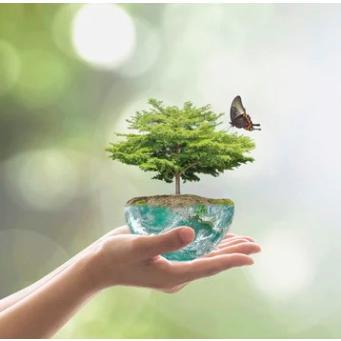 u70305015 気麗留(キレイト) ミヤモンテ社 100ml×3個セット ミヤモンテ キレイト キレート 気麗留 100ml 3個セット (3本