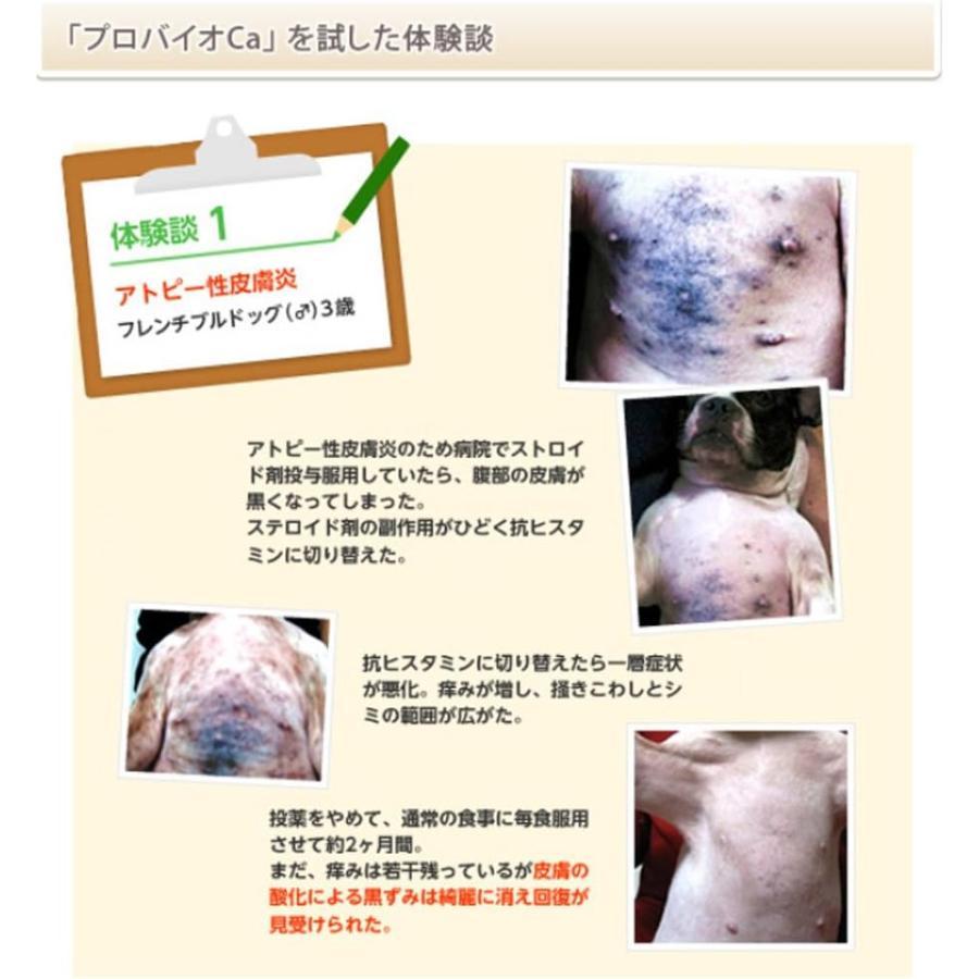 プロバイオシーエー PROBiO Ca 2個セット アマナグレイス 約30日分 犬