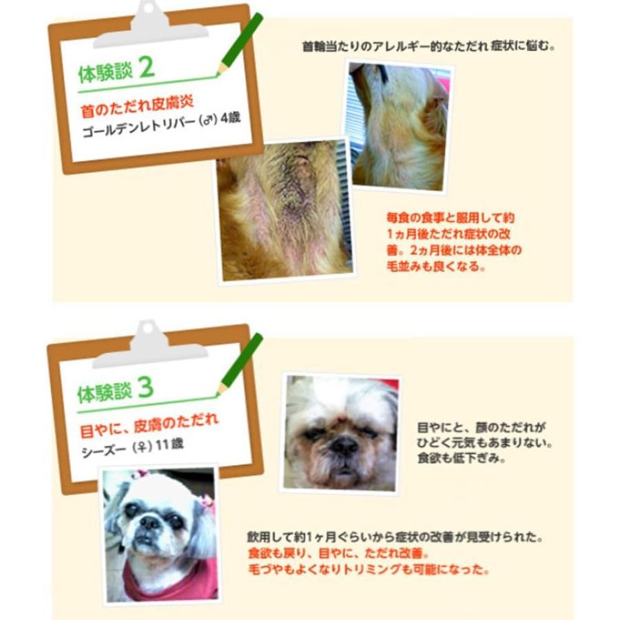 プロバイオシーエー PROBiO Ca 2個セット アマナグレイス 約30日分 犬