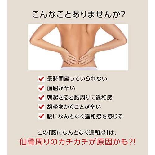 プロイデア コシレッチ PROIDEA 骨盤 仙骨 ストレッチ ほぐし 骨盤矯正 クッション コンパクト 指圧代用器 歪み 筋肉 刺激 腰 ストレッチ | ブランド登録なし | 03