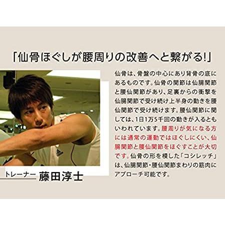 プロイデア コシレッチ PROIDEA 骨盤 仙骨 ストレッチ ほぐし 骨盤矯正 クッション コンパクト 指圧代用器 歪み 筋肉 刺激 腰 ストレッチ | ブランド登録なし | 05