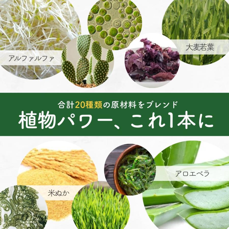 abios（アビオス） ベジパワープラス 30包入り (2.25g x30) 4個セット