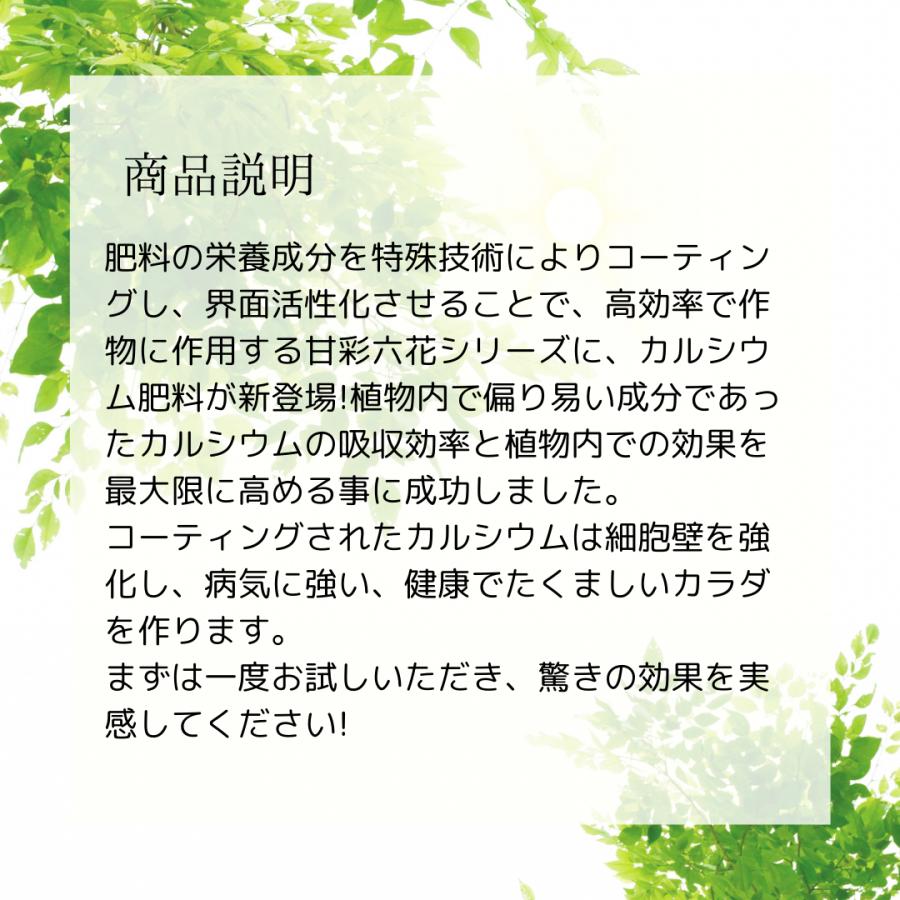 甘彩六花シリーズ 200ml 成長促進バイオ製剤 3種から1個選べる あまいろりっか 植物 品質向上剤 肥料 甘彩六花 アマイロリッカ 活根彩果 カッ | ブランド登録なし | 12