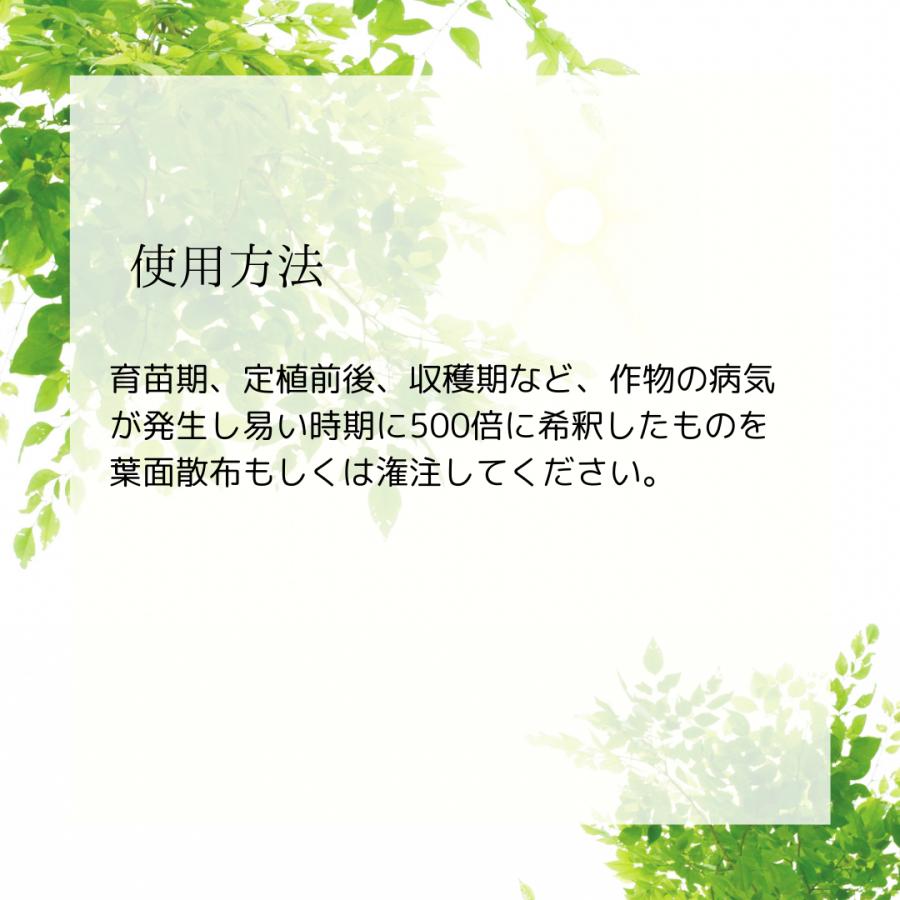 甘彩六花シリーズ 200ml 成長促進バイオ製剤 3種から1個選べる あまいろりっか 植物 品質向上剤 肥料 甘彩六花 アマイロリッカ 活根彩果 カッ | ブランド登録なし | 14