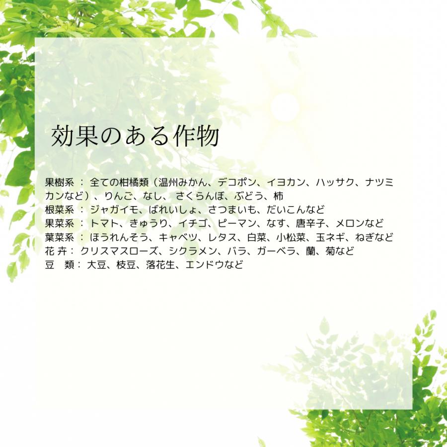 甘彩六花シリーズ 200ml 成長促進バイオ製剤 選べる2個セット (2本セット) あまいろりっか 植物 品質向上剤 肥料 甘彩六花 アマイロリッカ | ブランド登録なし | 15