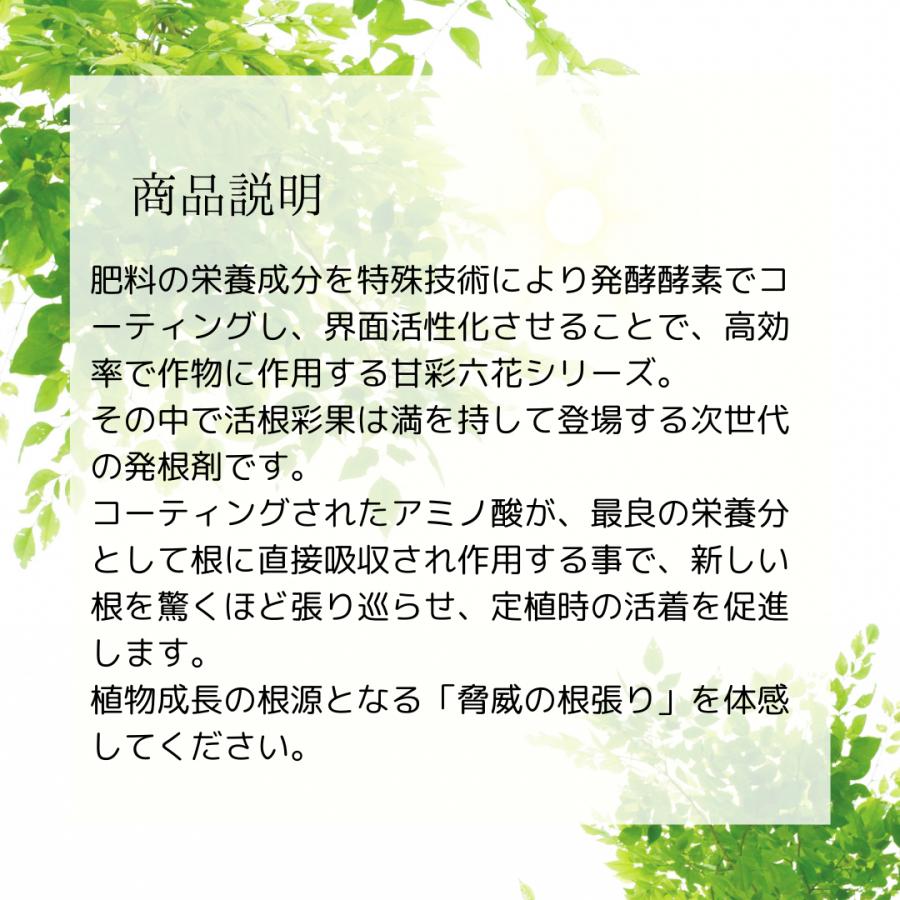 甘彩六花シリーズ 200ml 成長促進バイオ製剤 選べる2個セット (2本セット) あまいろりっか 植物 品質向上剤 肥料 甘彩六花 アマイロリッカ | ブランド登録なし | 02