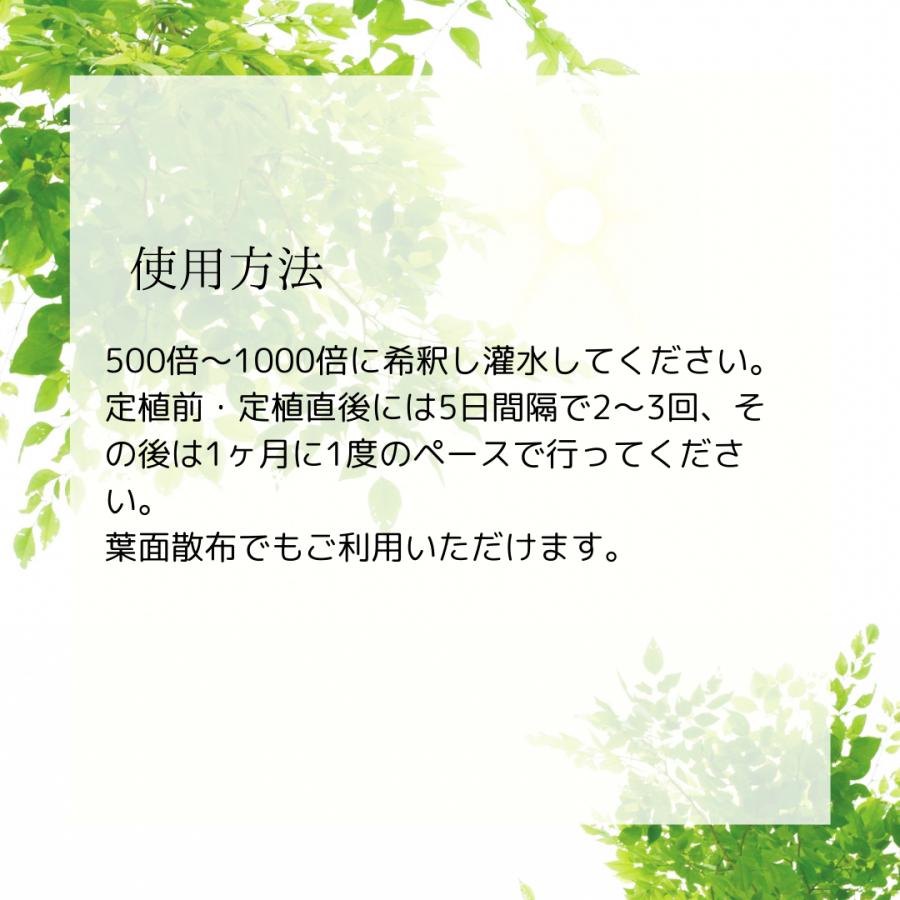甘彩六花シリーズ 200ml 成長促進バイオ製剤 選べる2個セット (2本セット) あまいろりっか 植物 品質向上剤 肥料 甘彩六花 アマイロリッカ | ブランド登録なし | 04