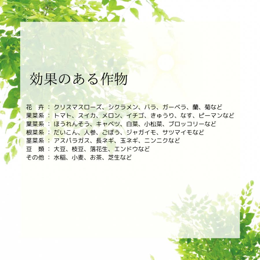 甘彩六花シリーズ 200ml 成長促進バイオ製剤 選べる2個セット (2本セット) あまいろりっか 植物 品質向上剤 肥料 甘彩六花 アマイロリッカ | ブランド登録なし | 05